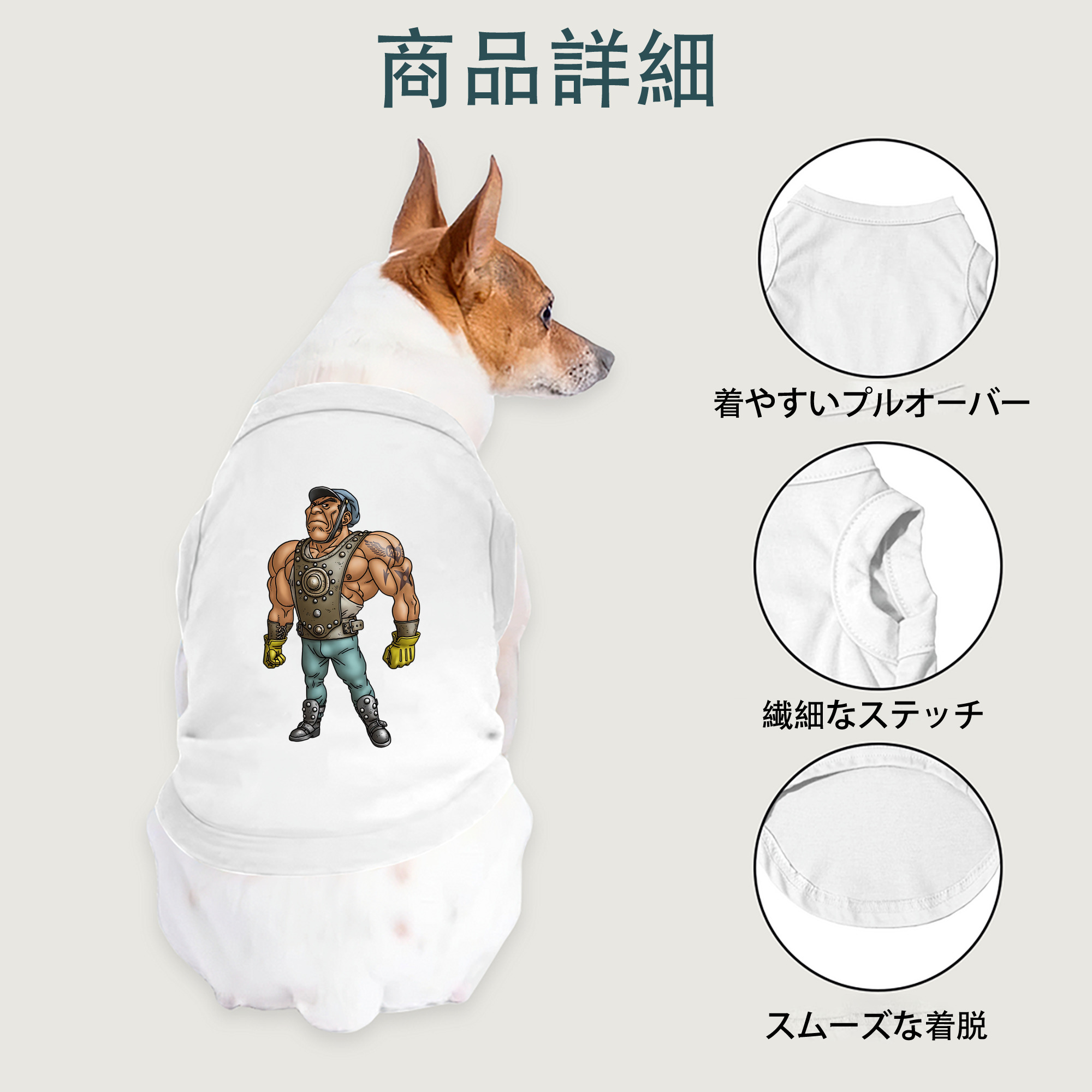 一般的なイメージ