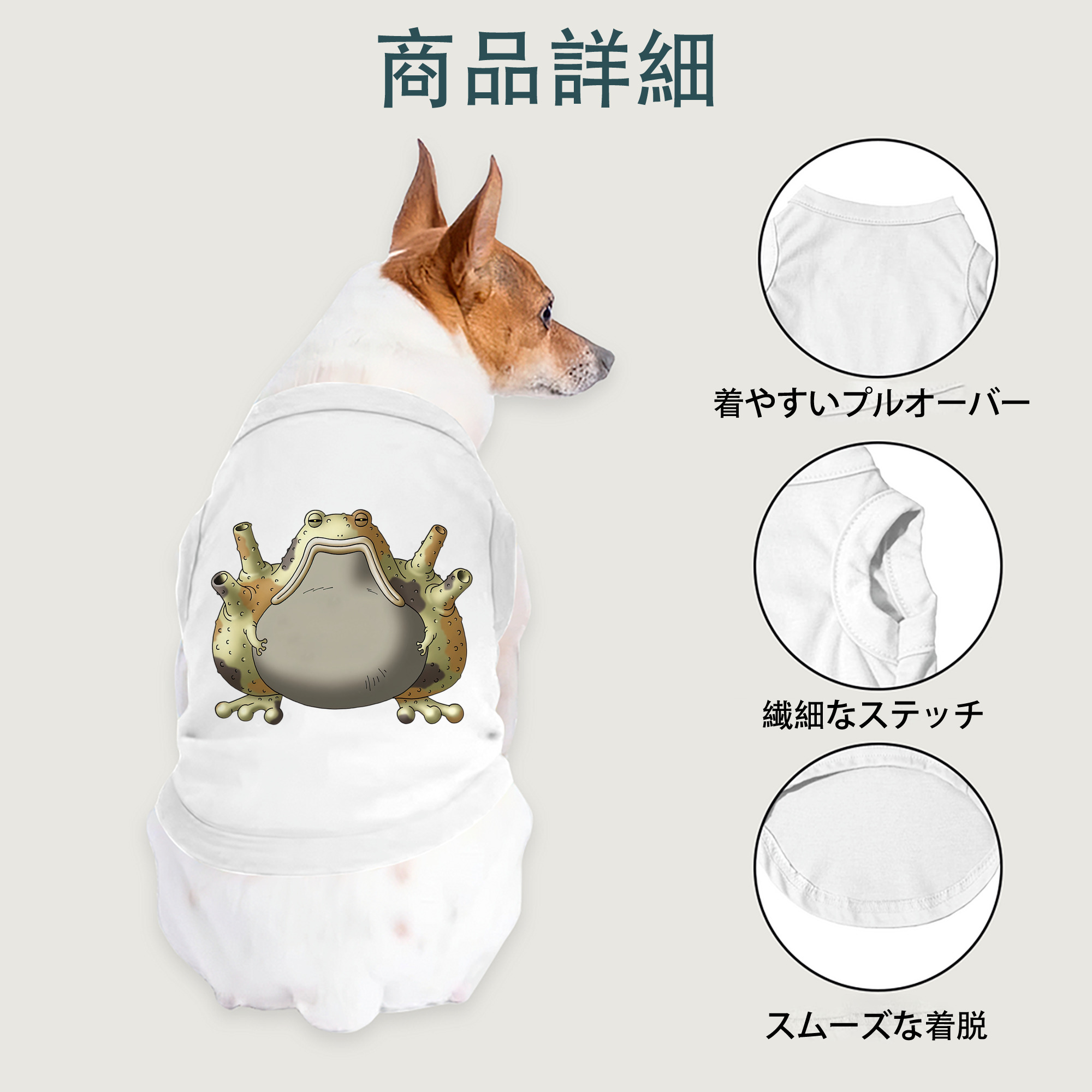 一般的なイメージ