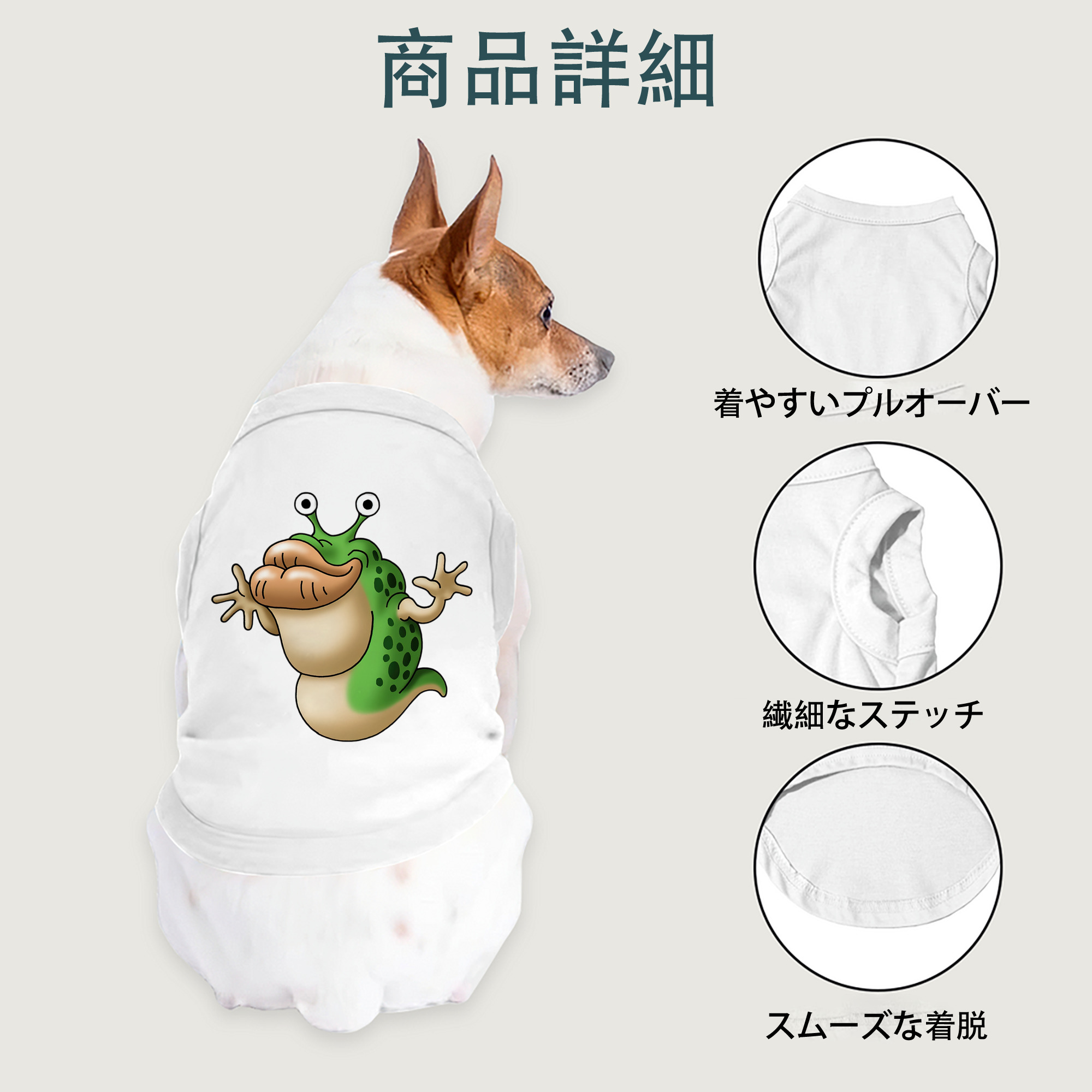 一般的なイメージ